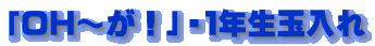�u�n�g�`���I�v�E�P�N���ʓ���