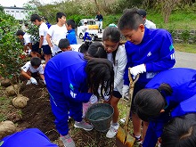 写真:学校環境緑化整備事業の様子3