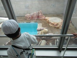 写真：男鹿水族館GAOで行われた2年校外学習の様子2