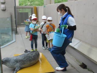 写真：男鹿水族館GAOで行われた2年校外学習の様子3