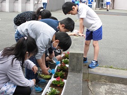 写真：人権の花運動 植栽活動の様子2