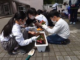写真：人権の花運動 植栽活動の様子5
